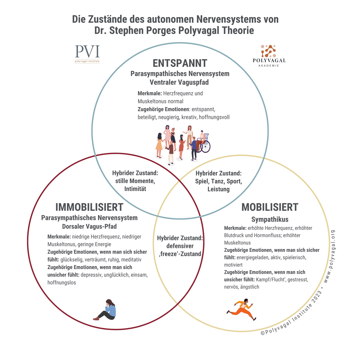 Die Zustände des vegetativen Nervensystems