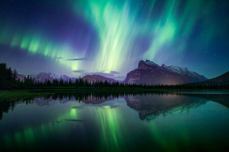 Elektrische Ladung – die treibende Kraft der Naturphänomene